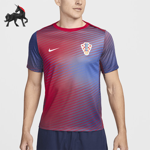 Nike/耐克正品男士条纹户外休闲圆领套头短袖T恤FQ8648-455