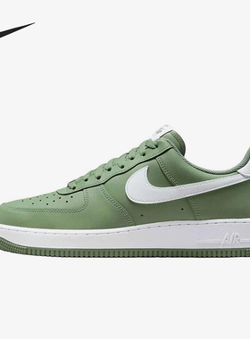 Nike/耐克正品2025秋季款男士日常低帮系带透气板鞋FJ4146-301