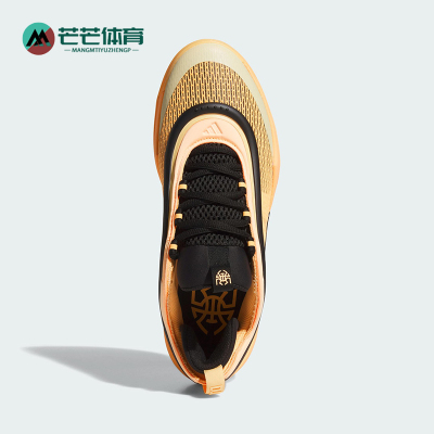 Adidas/阿迪达斯正品D.O.N. ISSUE 6男士经典缓震篮球鞋JI1549