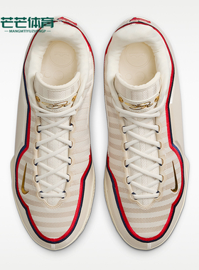 Nike/耐克正品JORDANLeBronXIEP詹姆斯经典男篮球鞋IB9563-103