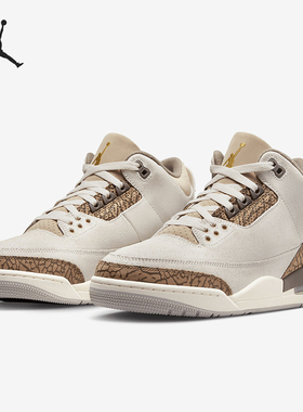 Nike/耐克正品Air Jordan 3男士复古耐磨经典篮球鞋CT8532-102