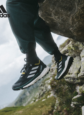 Adidas/阿迪达斯官方正品Terrex Free Hiker 2男女休闲鞋GY9839