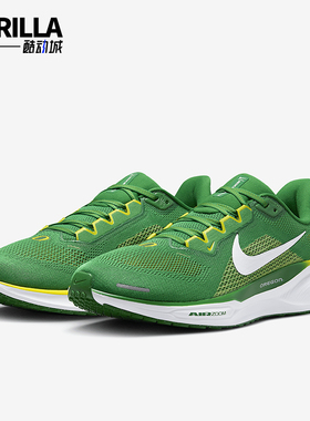 Nike/耐克正品Pegasus 41男士低帮运动减震耐磨跑步鞋FZ5138-300