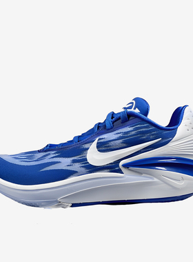 Nike/耐克正品Air Zoom男士经典气垫户外运动篮球鞋DX6650-400