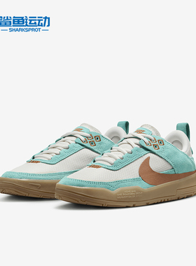 Nike/耐克正品SB Day One GS女子大童缓震运动板鞋FN4210-301