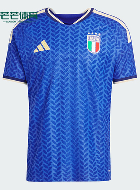Adidas/阿迪达斯正品ITALY 26男女套头足球运动训练短袖JL6934