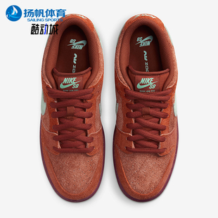 Dunk Low男女复古经典 耐磨运动板鞋 601 Nike DV5429 耐克正品
