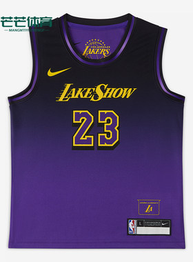Nike/耐克正品NBA Jersey 詹姆斯小童运动训练球衣IH2146-504
