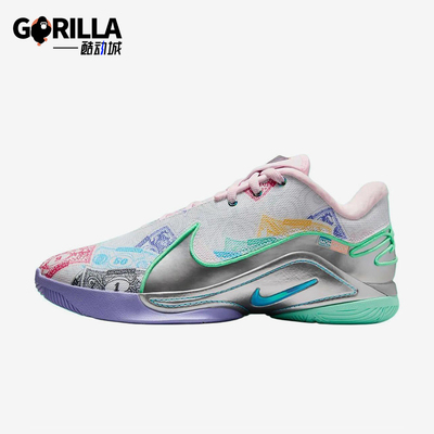 Nike/耐克正品LeBron 22男士运动时尚低帮训练篮球鞋FZ1097-100