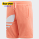 阿迪达斯正品 潮流夏季 新款 Adidas 三叶草大童休闲运动短裤 FM5664