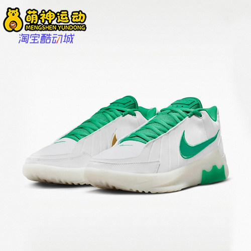 Nike/耐克正品LEBRON WITNESS IX EP男士经典篮球鞋HQ8035-101