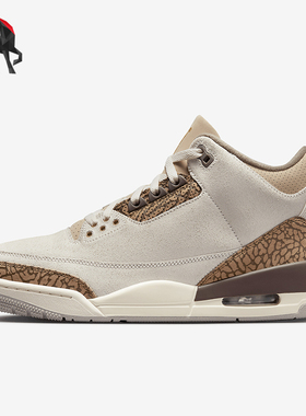 Nike/耐克正品Air Jordan 3男士复古耐磨经典篮球鞋CT8532-102