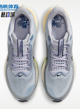 Nike/耐克正品Pegasus Premium 男士缓震经典跑步鞋IR1815-012