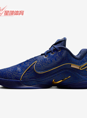 Nike/耐克正品LeBron 22男士训练耐磨缓震运动篮球鞋HV5145-400