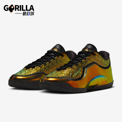 Nike/耐克正品2025冬季款男士日常时尚运动低帮篮球鞋IB9561-900