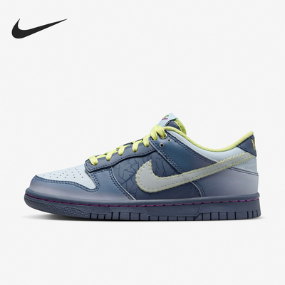 Nike/耐克女士运动休闲板鞋