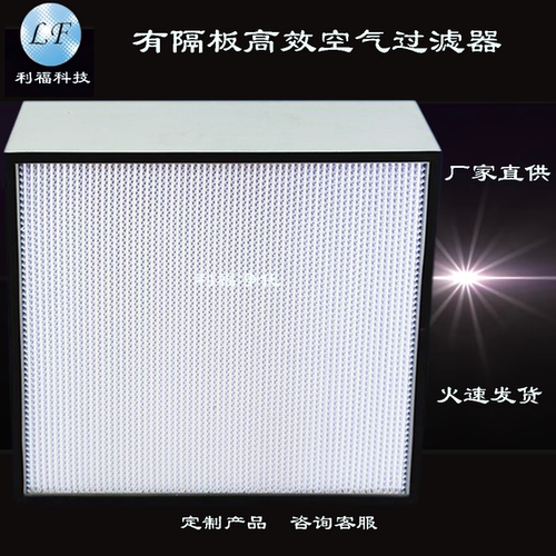 高效空气过滤器有隔板H13H14工业