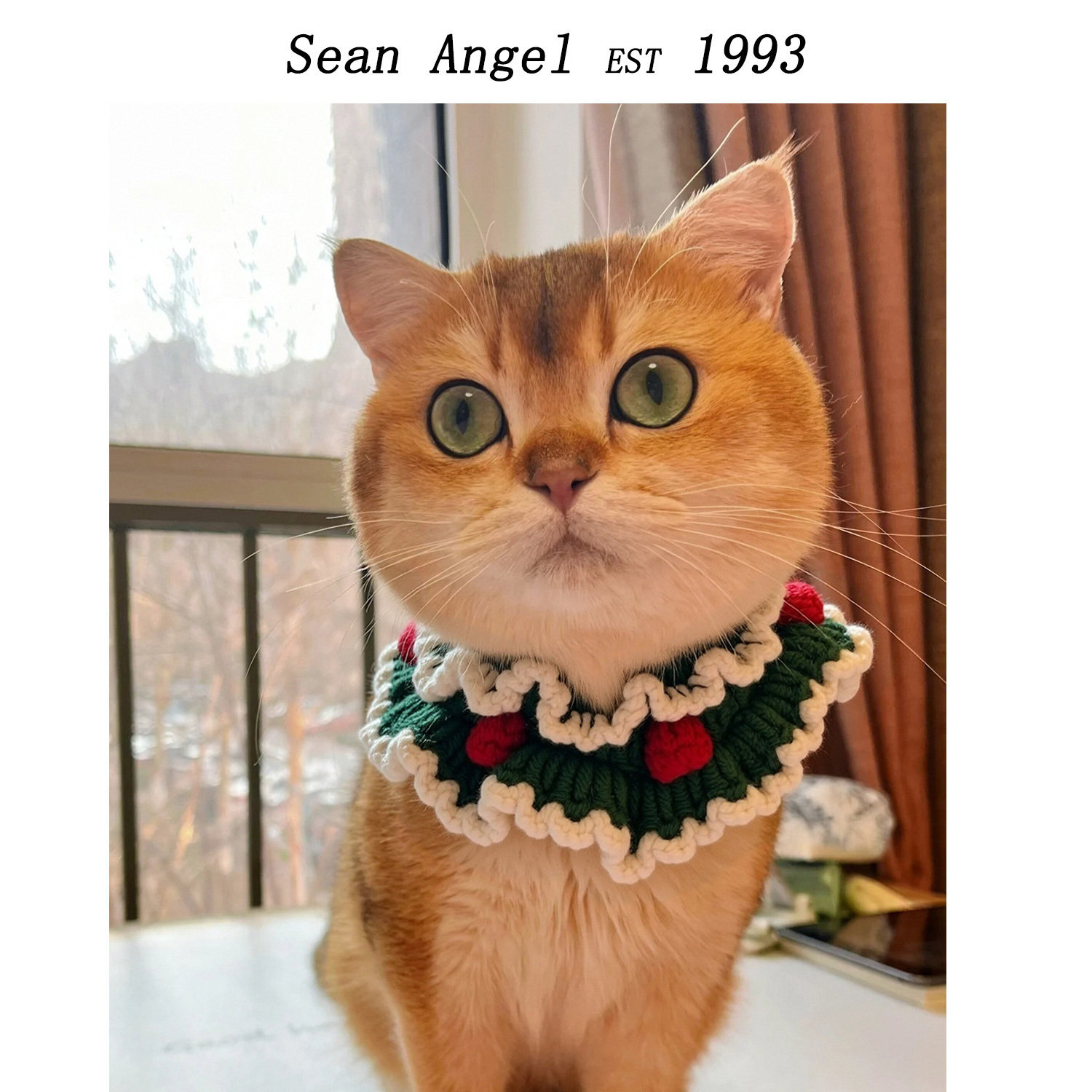 宠物编织围脖圣诞节配饰猫咪狗狗