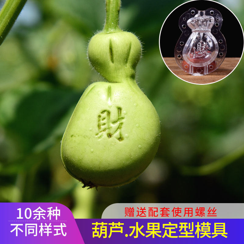 葫芦生长定型模具塑料模子文玩天然小葫芦水果模具范制葫芦套模型