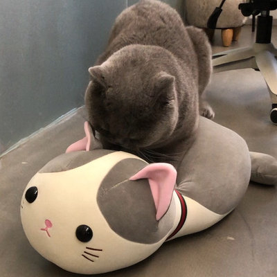 公猫发情伴侣用品抱枕宠物玩具