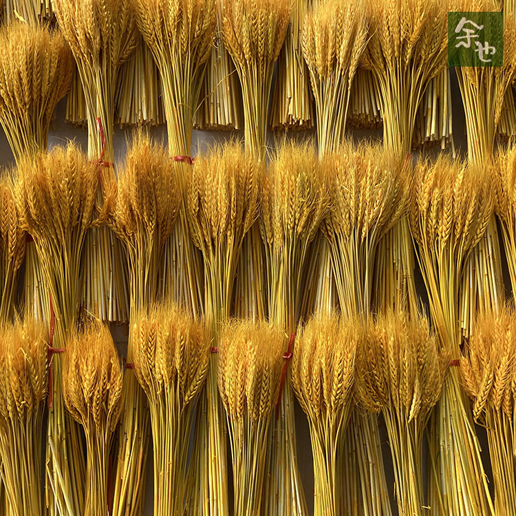 黄金大麦穗干花束开业店庆喜庆节日花篮装饰花艺店铺丰收麦子摆件