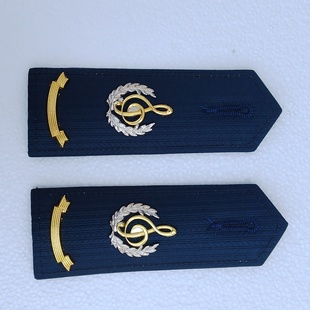 乐队肩章蓝色国旗班婚庆公司鼓乐队礼宾蓝色学员肩章文工团肩章