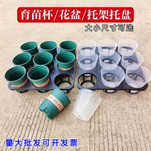 育苗杯托架托盘蝴蝶兰托盘托架双色盆多肉盆托架9孔15孔12孔托盘