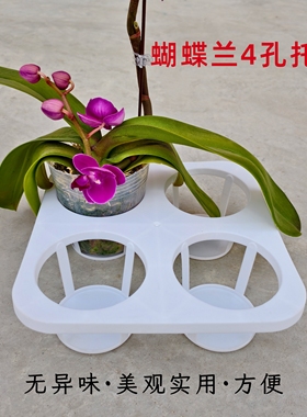 新款蝴蝶托盘托架4孔蝴蝶兰组盆托架白色加厚多肉花盆双色盆托架