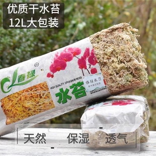 干水苔蝴蝶兰专用水苔营养土兰花栽培营养土介质乌龟爬宠垫材垫料
