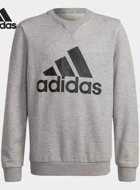 Adidas/阿迪达斯正品BBLSWT大童装训练运动套头卫衣GS4273