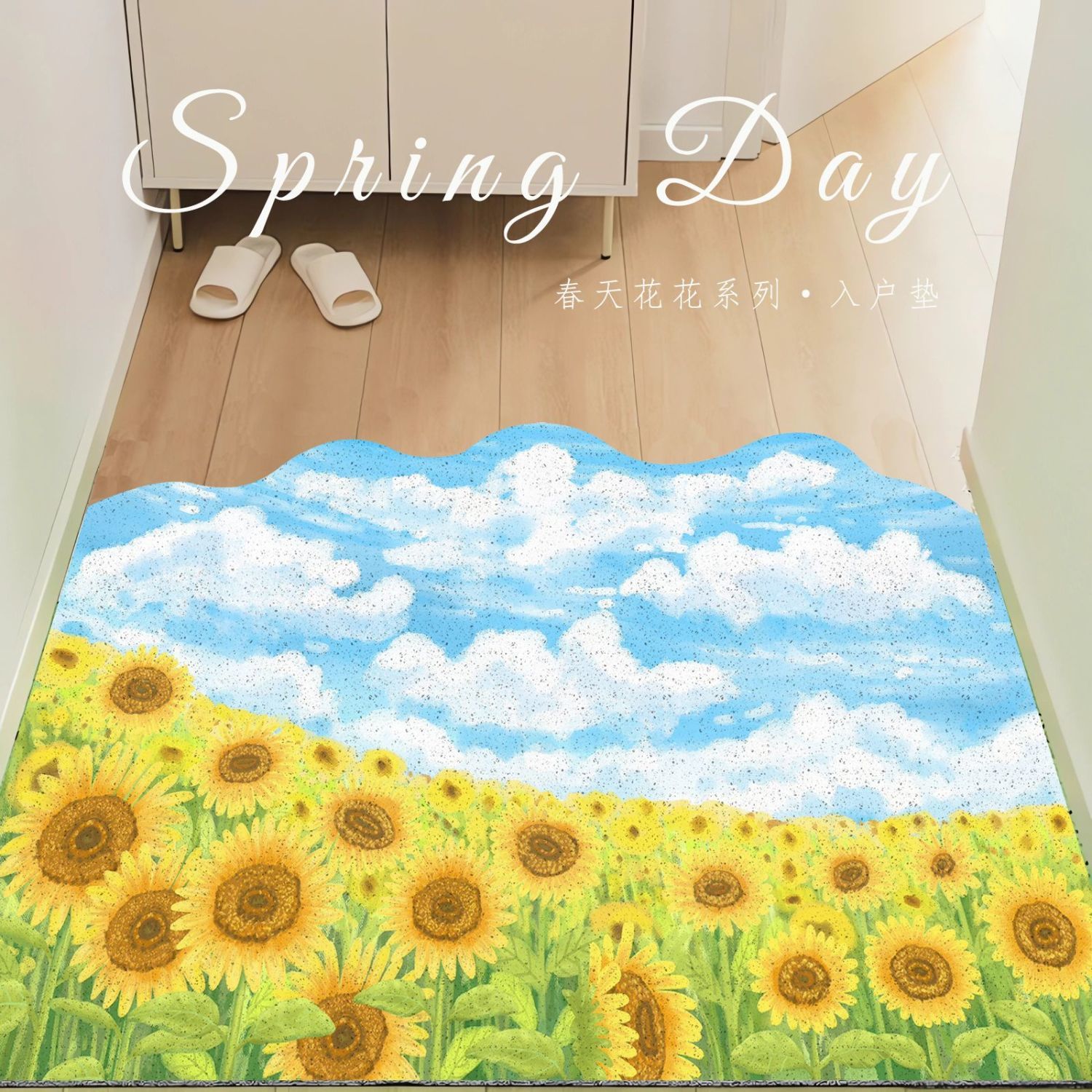 入户门地垫ins风玄关阳台