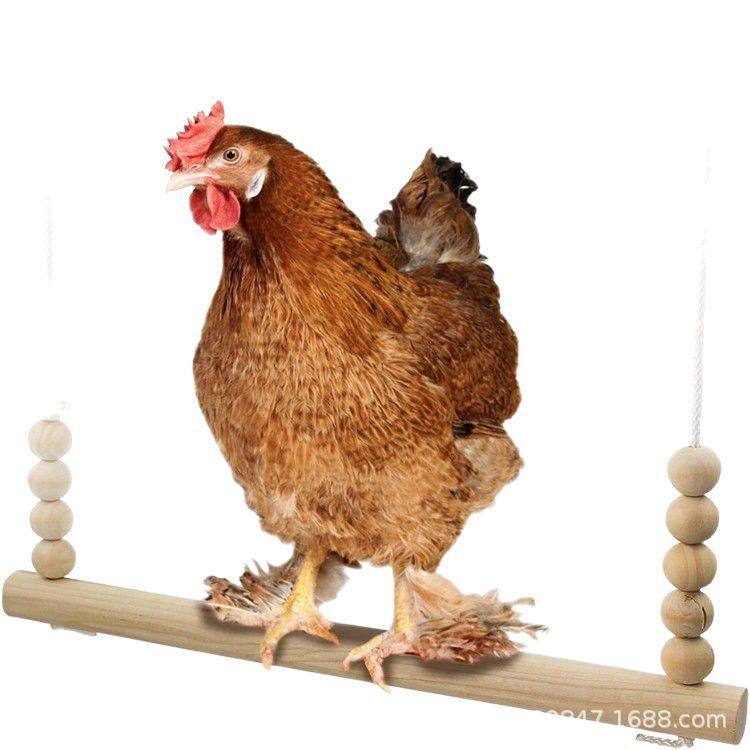 跨境宠物鸡玩具小鸡秋千鹦鹉吊桥娱乐宠物鸟玩具栖息场地diy制作,宠物/宠物食品及用品,鸟,淘宝优惠券,粉丝福利购,淘宝优惠卷