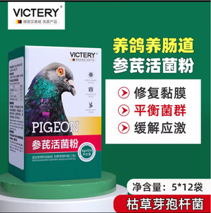汉诺威参芪活菌粉鸽子水便调理肠道保健活菌王非鸽药鸟鸽用活菌粉