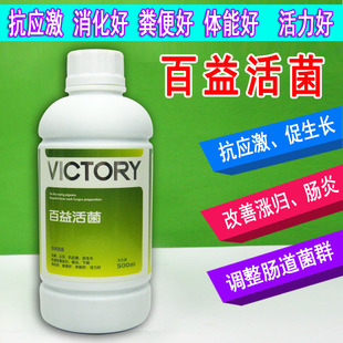 汉诺威鸽鸟\百益活菌\信鸽赛鸽\有益菌改善涨归\肠炎\下痢 包邮