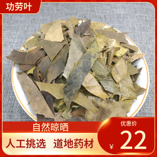 中药材 功劳叶 十大功劳叶 500g 枸骨叶猫儿刺八角刺 新货