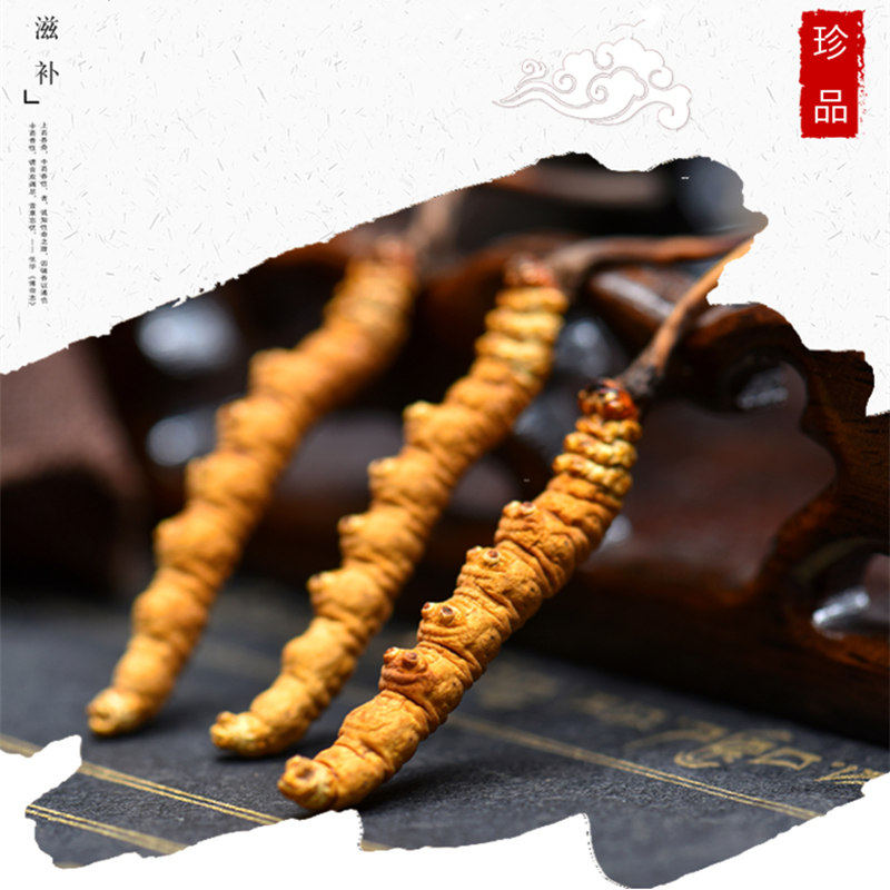 正宗甄选   虫草 冬虫夏草 4根1g 总共10g克   新鲜