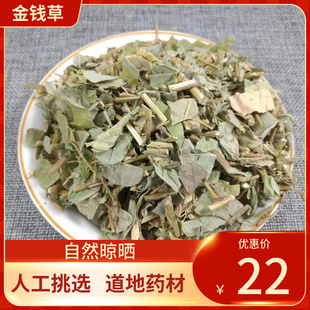 中药材金钱草 金钱草泡茶中草药 大叶金钱草广金钱草干 500g野生