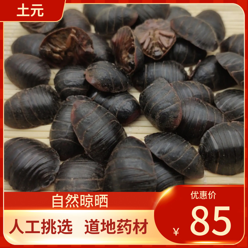 中药材土元 土鳖虫干500g有特大土元地鳖虫蛰虫新鲜干货中草药