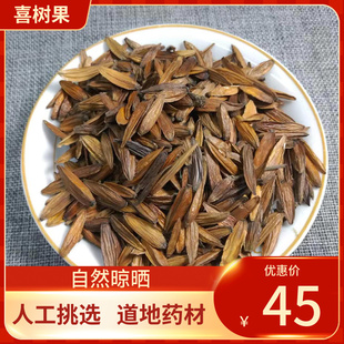 中药材 喜树果 500克g包邮 千丈树 水栗子 天梓树中草药