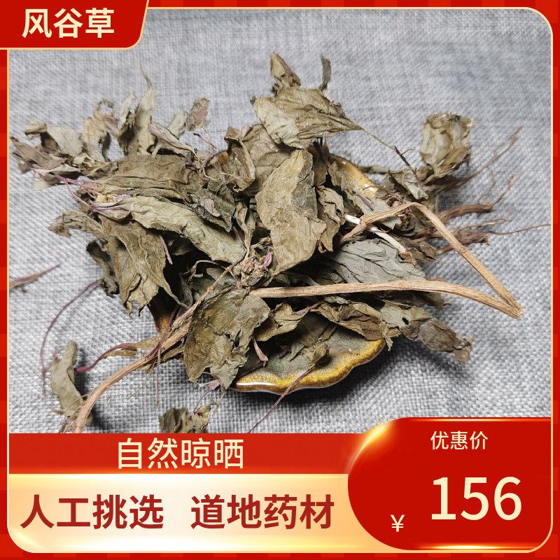 中药材风谷草200g 风柜斗草干货风谷草新鲜干货风鼓草风骨草
