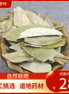 中药材 胡秃子叶500g 蒲颓叶胡颓子叶胡颓叶新鲜干货