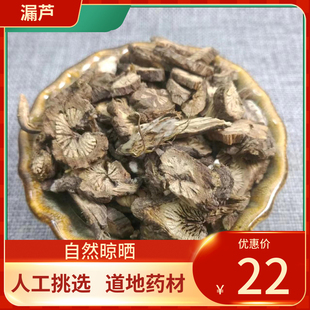 中药材 漏芦 500g 优选漏芦 野兰根鬼油麻 新鲜干货