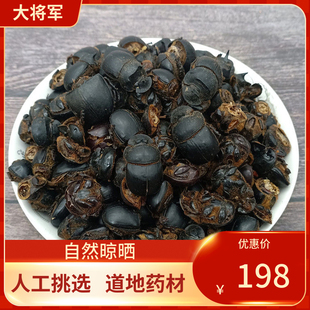 中药材  蜣螂虫 大将军 250g 黑兜虫 屁板虫 屁巴虫屎壳郎