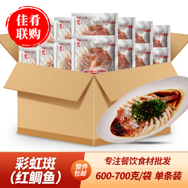 彩虹斑宴席清蒸红烧烤鱼海鲜食材