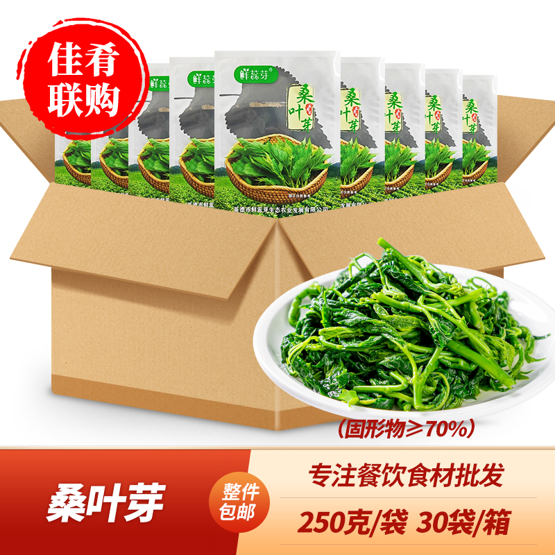 桑叶芽火锅炒菜食材批发