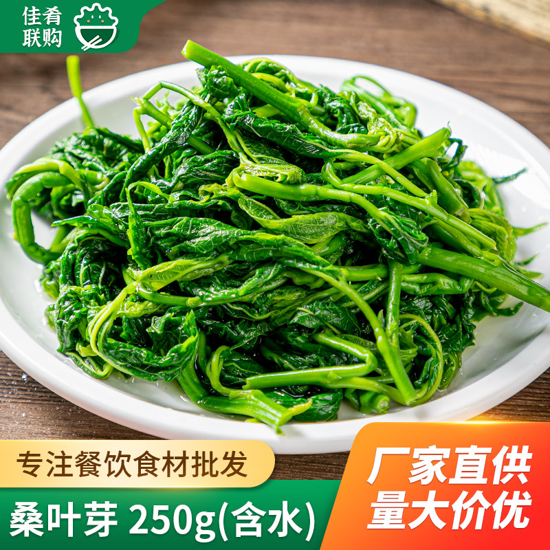 桑芽菜250g凉拌桑叶嫩桑叶芽火锅凉菜小炒酒店半成品食材预制菜