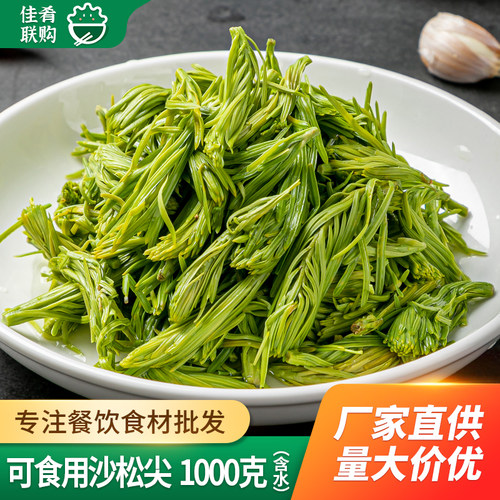 高山沙松尖云南凉拌食材餐饮商用