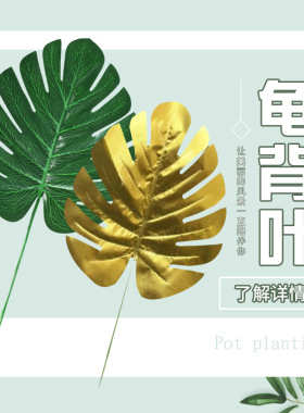 仿真尤加利柳条婚庆塑料龟背叶