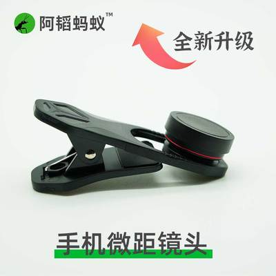 手机微距自然科学便携阿韬ants