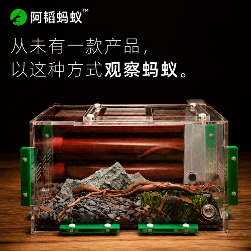 蚂蚁生态箱宠物蚂蚁生态试管观察蚁巢520试管巢阿韬ants